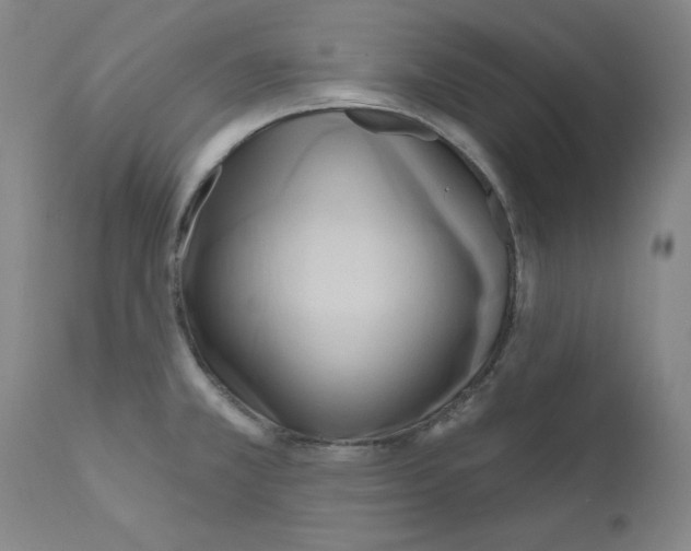 X0000110941381200907311007