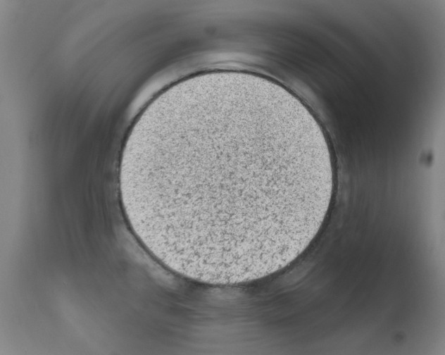 X0000110941384200907311007