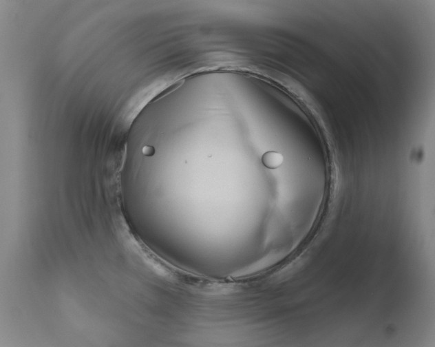 X0000110941385200907311006