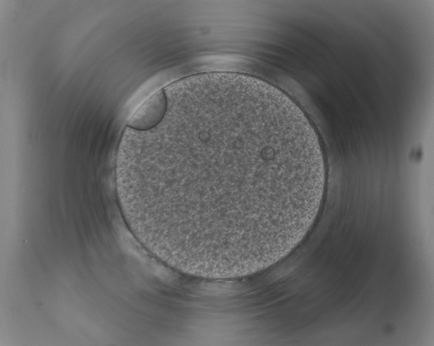 X0000110941386200907311006
