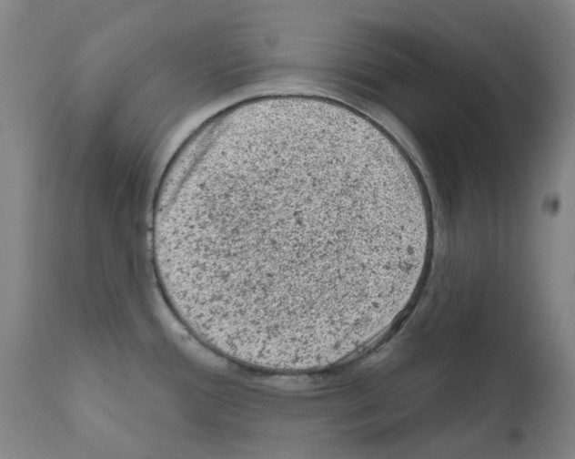 X0000110941388200907311006