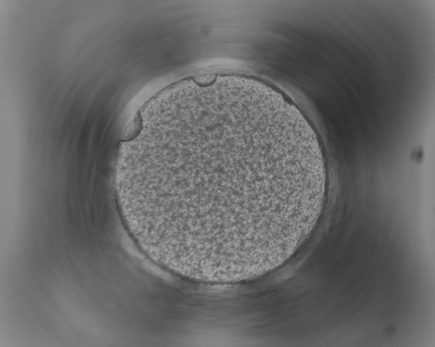 X0000110941390200907311006