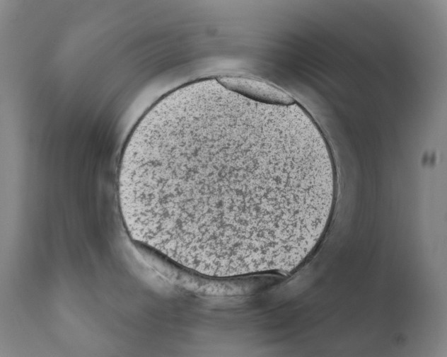 X0000110941392200907311006