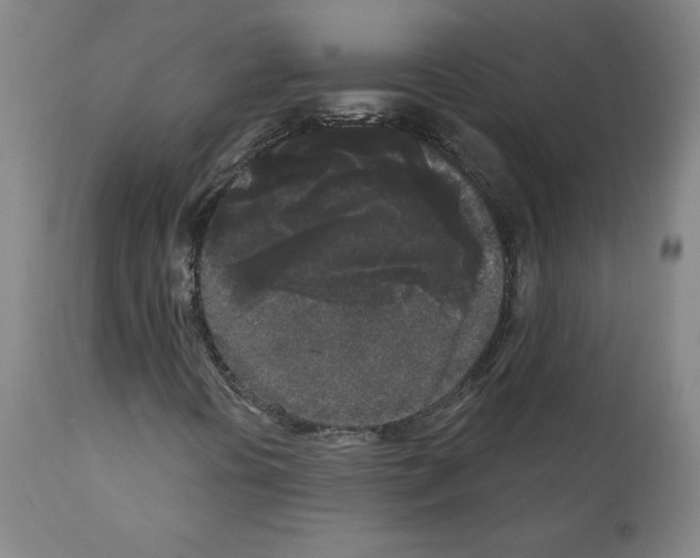 X0000110941394200907311006