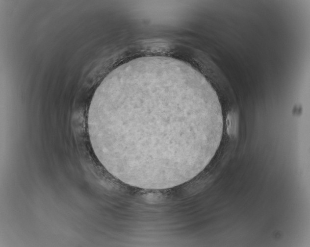 X0000110941395200907311006