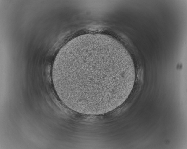 X0000110941396200907311006