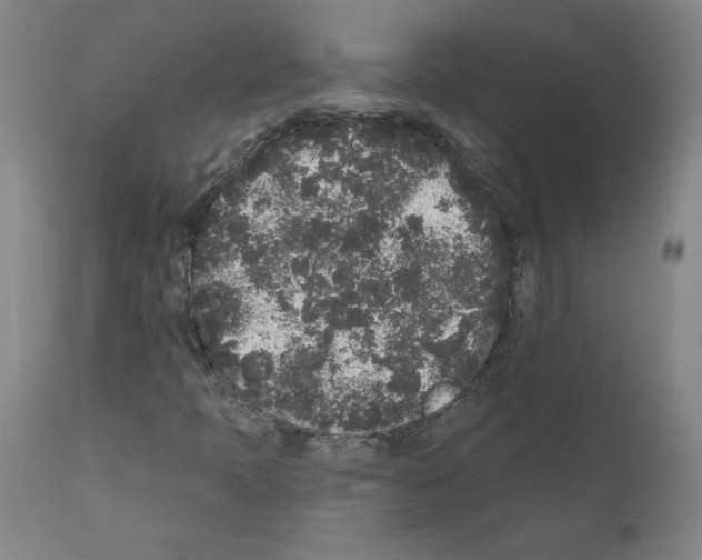 X0000110941397200907311006