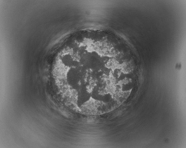X0000110941399200907311006