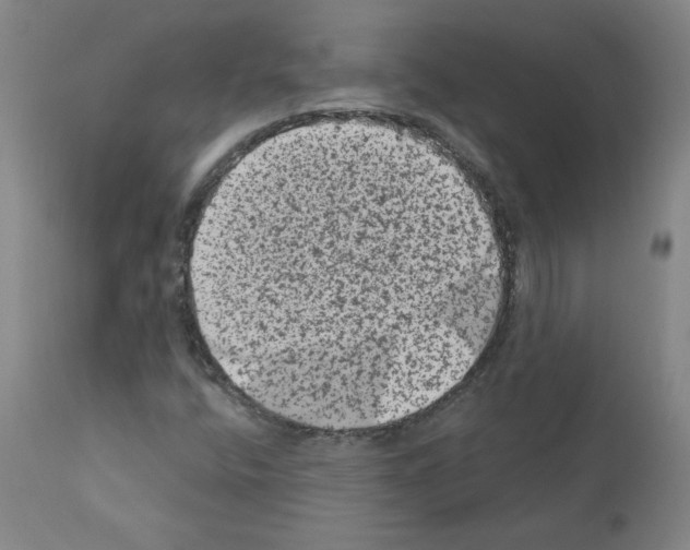 X0000110941400200907311006