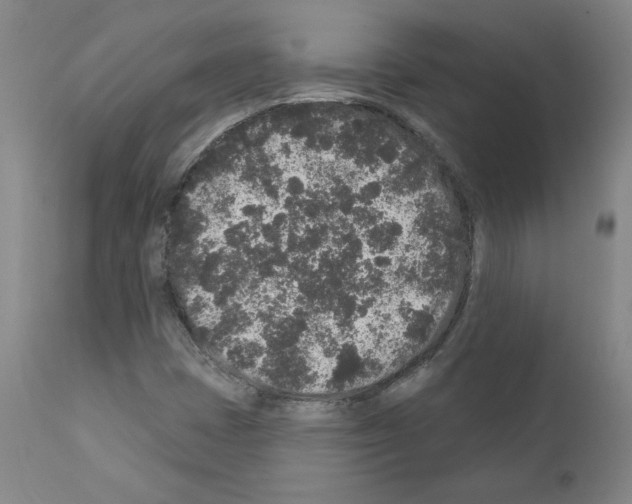 X0000110941401200907311006