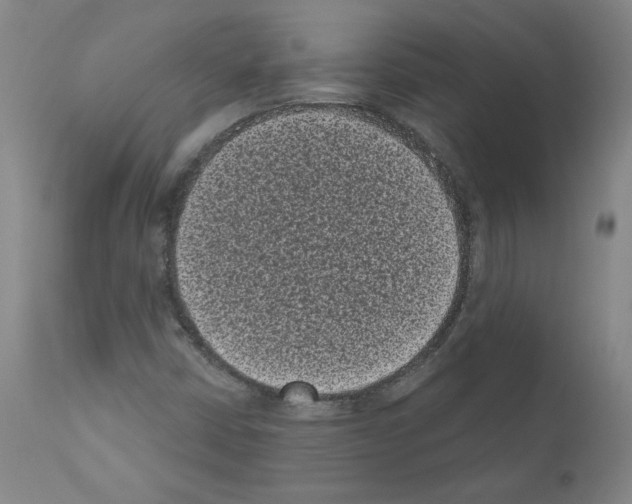X0000110941402200907311006