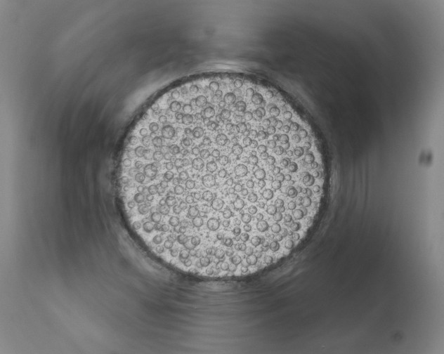 X0000110941404200907311006