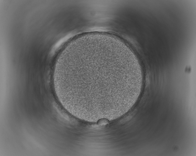 X0000110941406200907311006