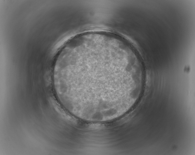 X0000110941407200907311006