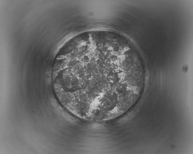 X0000110941409200907311006