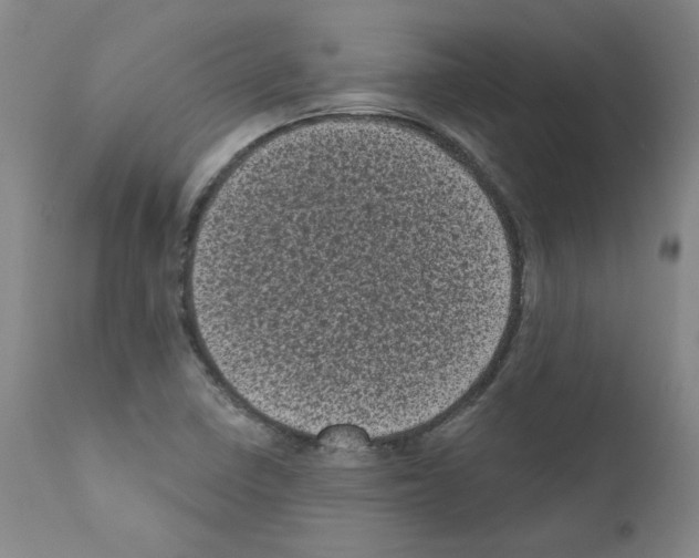 X0000110941410200907311006
