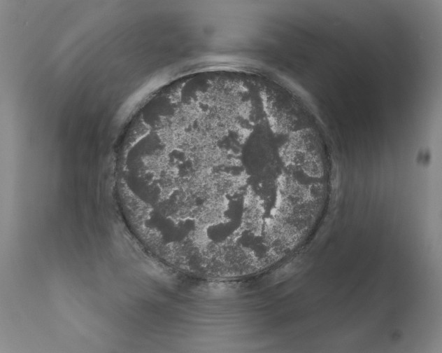 X0000110941411200907311006