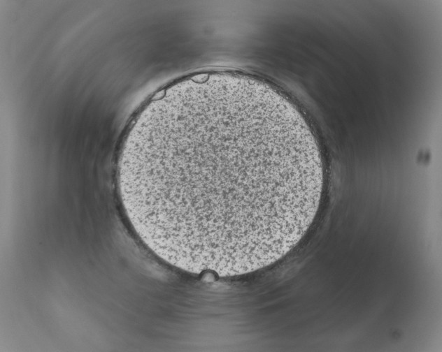 X0000110941412200907311006
