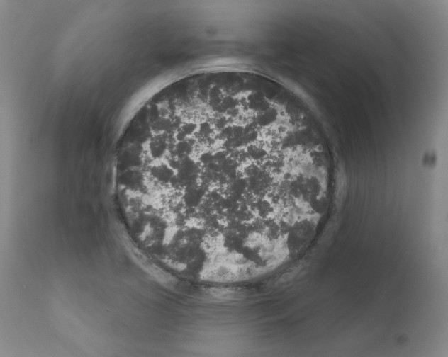 X0000110941413200907311006