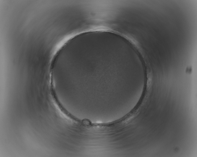 X0000110941414200907311006