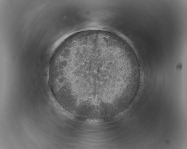 X0000110941415200907311006