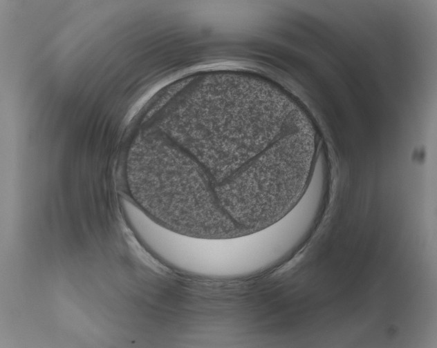X0000110941417200907311006