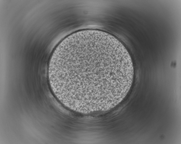 X0000110941420200907311006