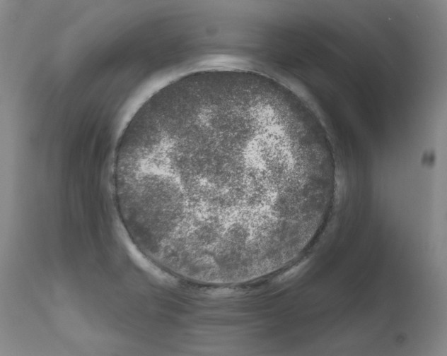 X0000110941421200907311006