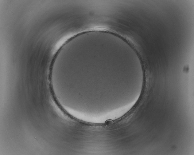 X0000110941422200907311006