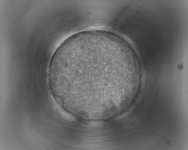 X0000110941423200907311006