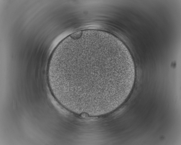 X0000110941426200907311006