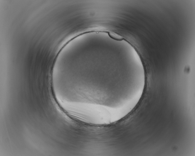 X0000110941428200907311006