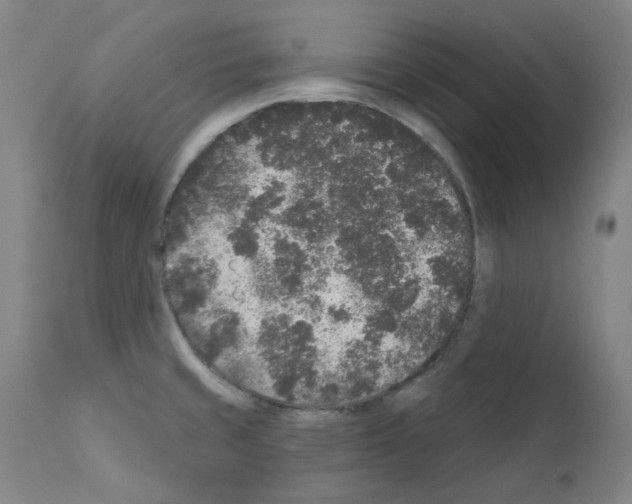 X0000110941429200907311006