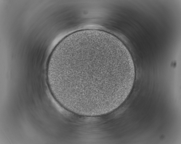 X0000110941430200907311006