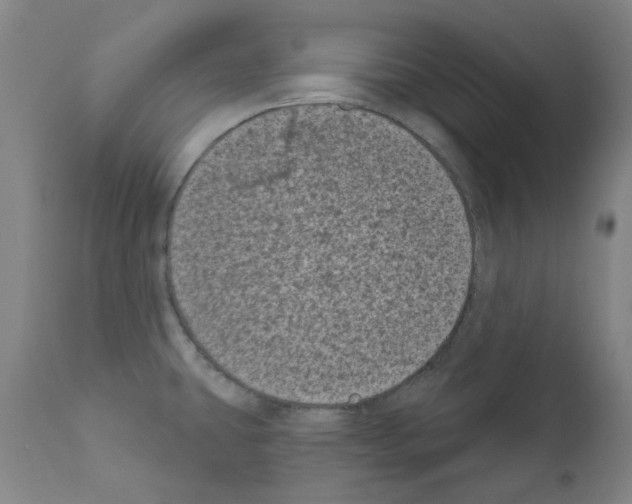 X0000110941431200907311006