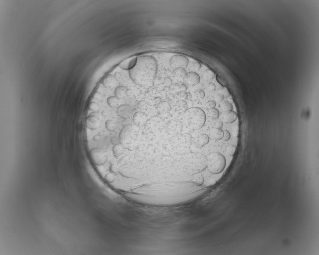 X0000110941432200907311006