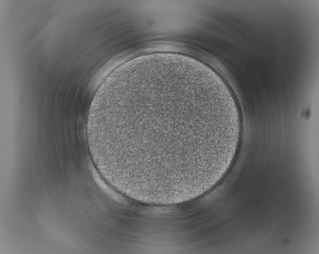 X0000110941433200907311006