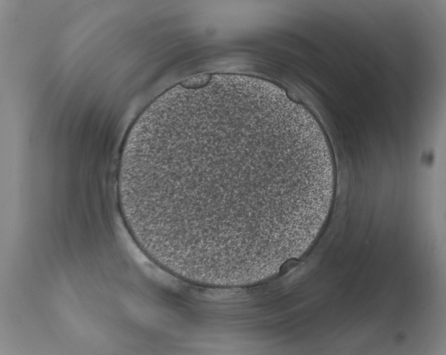 X0000110941434200907311006