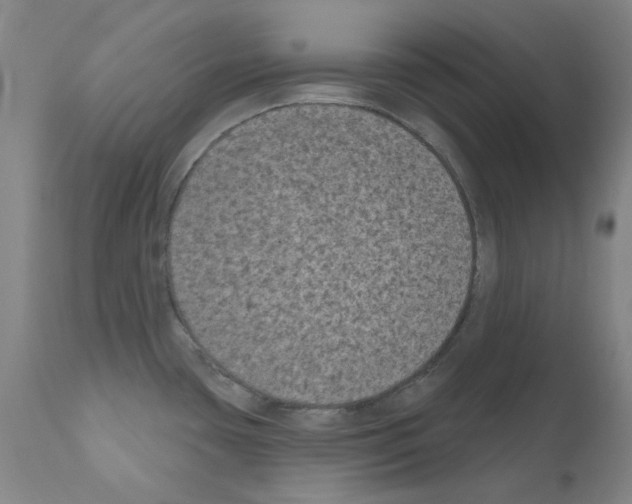 X0000110941435200907311006