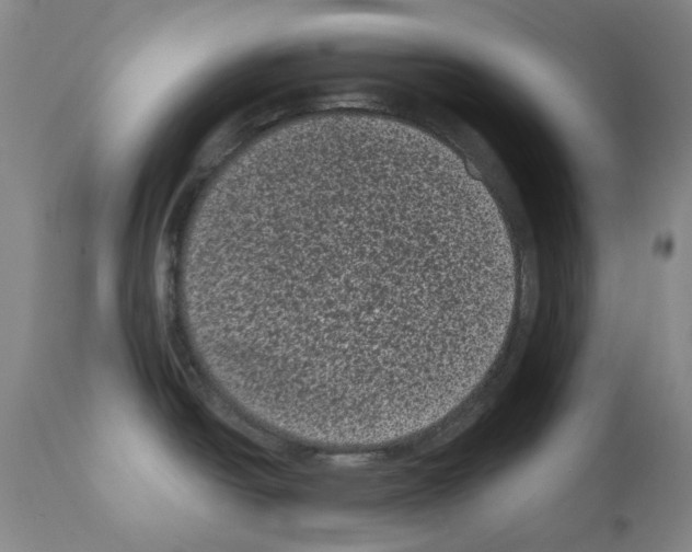 X0000110941438200907311006
