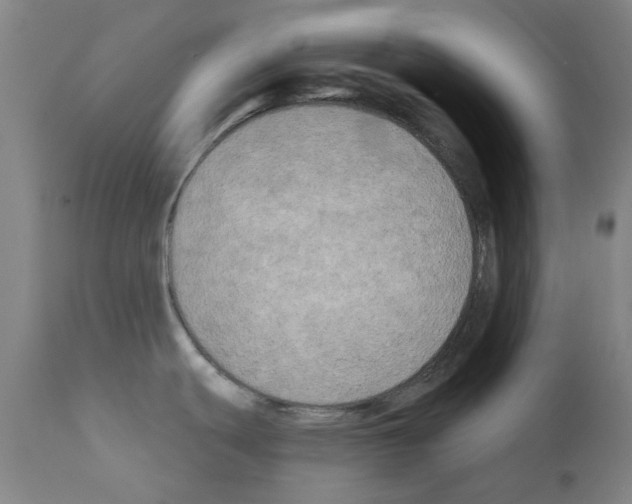 X0000110941439200907311006