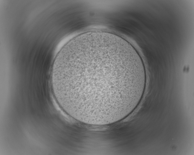 X0000110941440200907311006