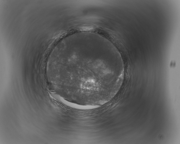 X0000110941441200907311006