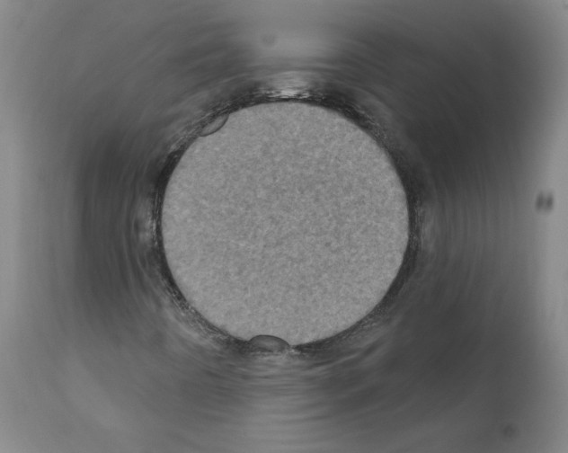 X0000110941442200907311006