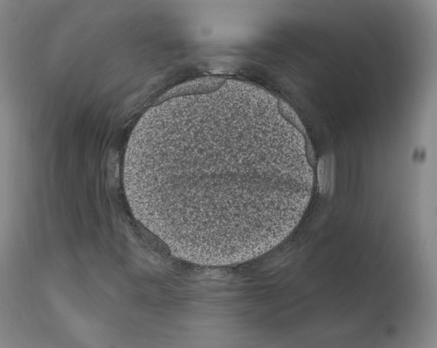 X0000110941443200907311006