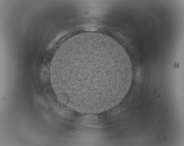 X0000110941446200907311006