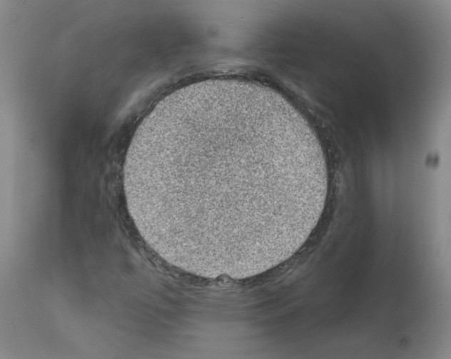 X0000110941447200907311006