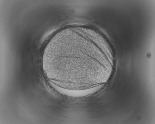X0000110941448200907311006