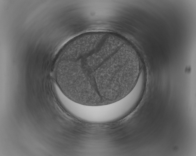 X0000110941449200907311006