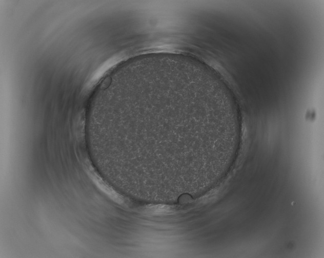 X0000110941450200907311006